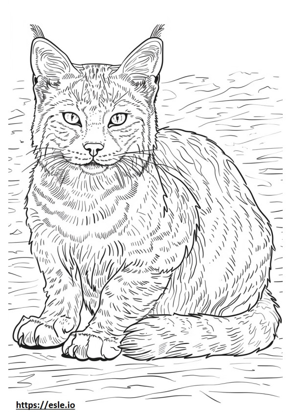 Corpo inteiro do gato dourado africano para colorir