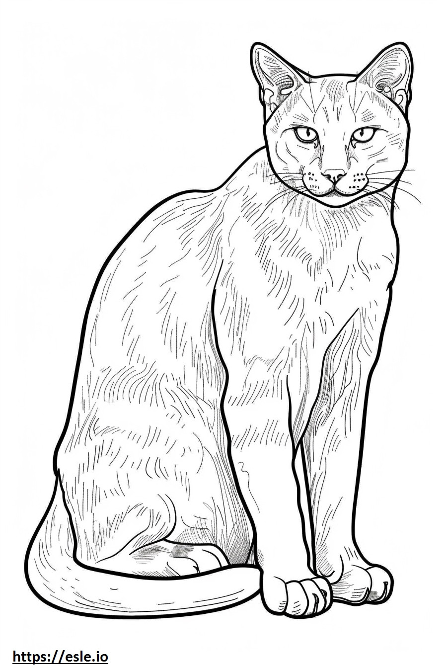 Corpo inteiro do gato dourado africano para colorir