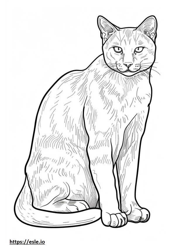 Gato dorado africano de cuerpo completo para colorear e imprimir