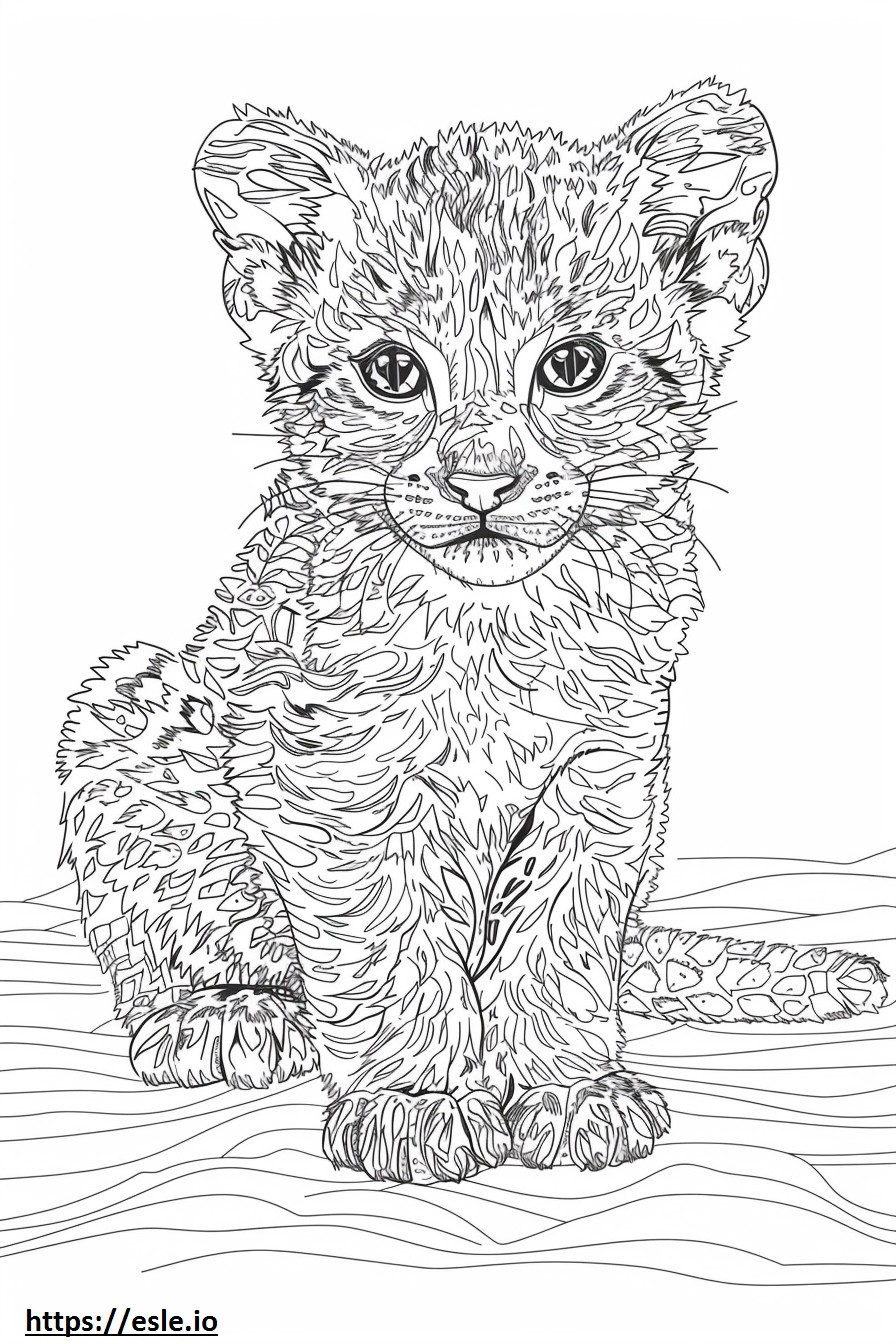 Coloriage Bébé chat doré africain à imprimer