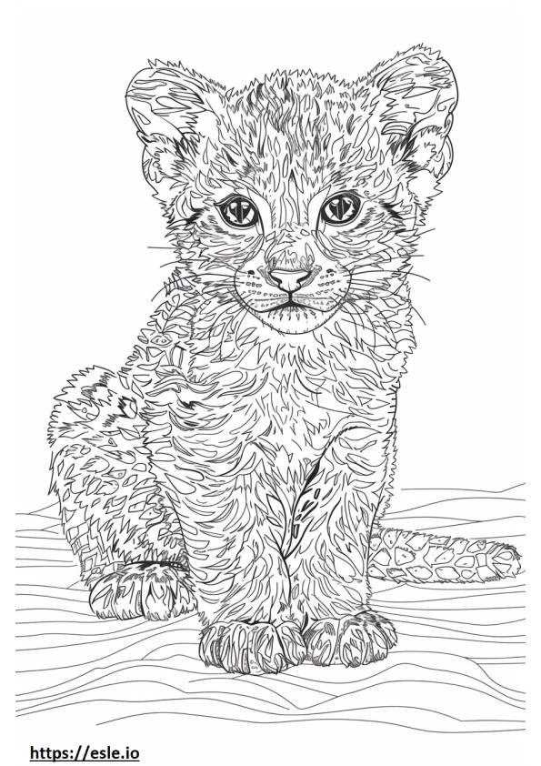 Bebê gato dourado africano para colorir