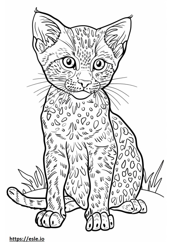 African Golden Cat cute coloring page