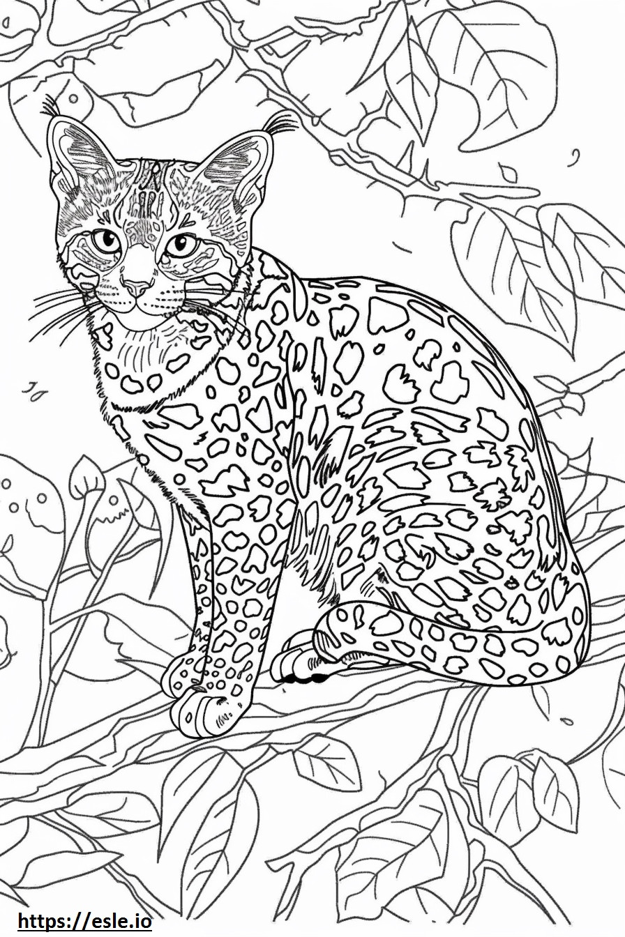 Afrikaanse gouden kat blij kleurplaat kleurplaat