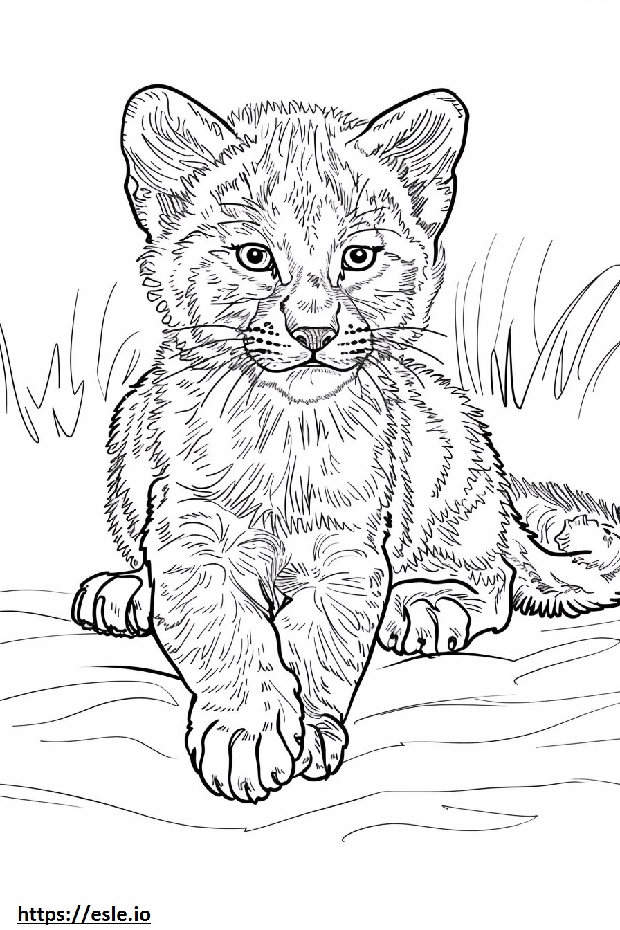 African Golden Cat happy coloring page