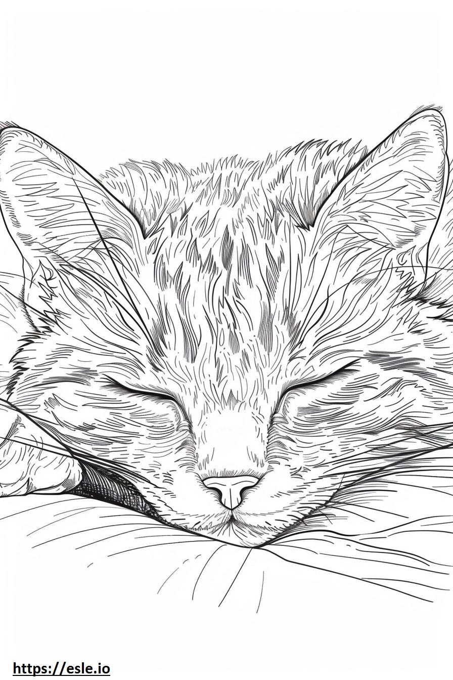 Kucing Emas Afrika Tidur gambar mewarnai
