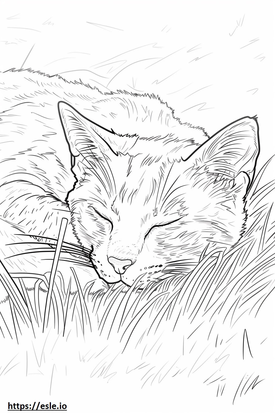 眠っているアフリカの金猫 ぬりえ - 塗り絵