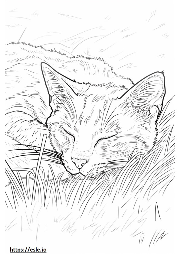 眠っているアフリカの金猫 ぬりえ - 塗り絵