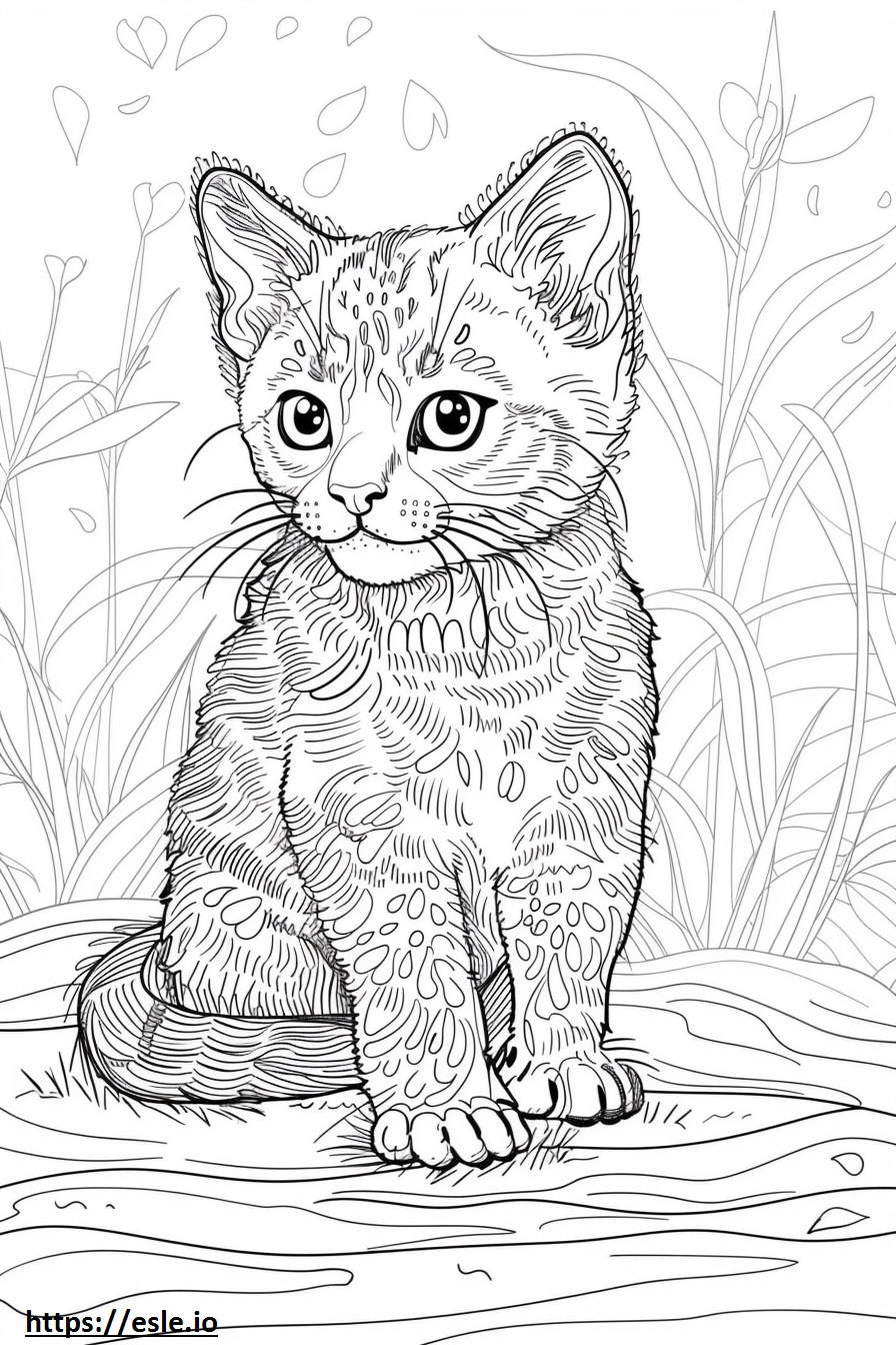 Afrikkalainen kultainen kissa Kawaii värityskuva
