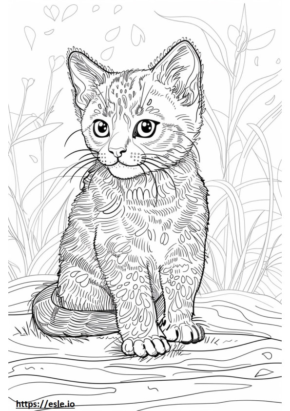 Gato Dorado Africano Kawaii para colorear e imprimir