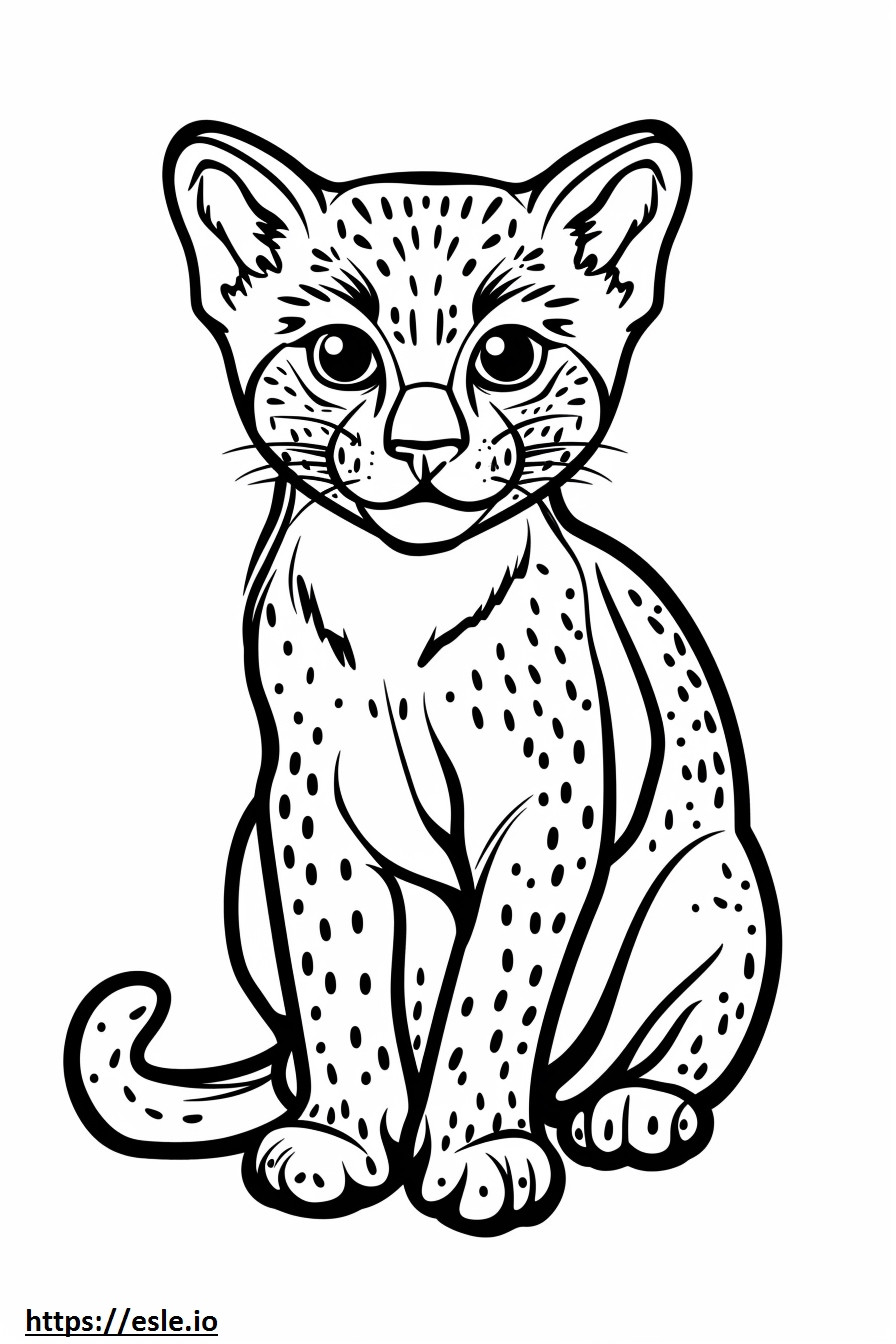 Gato Dourado Africano Kawaii para colorir