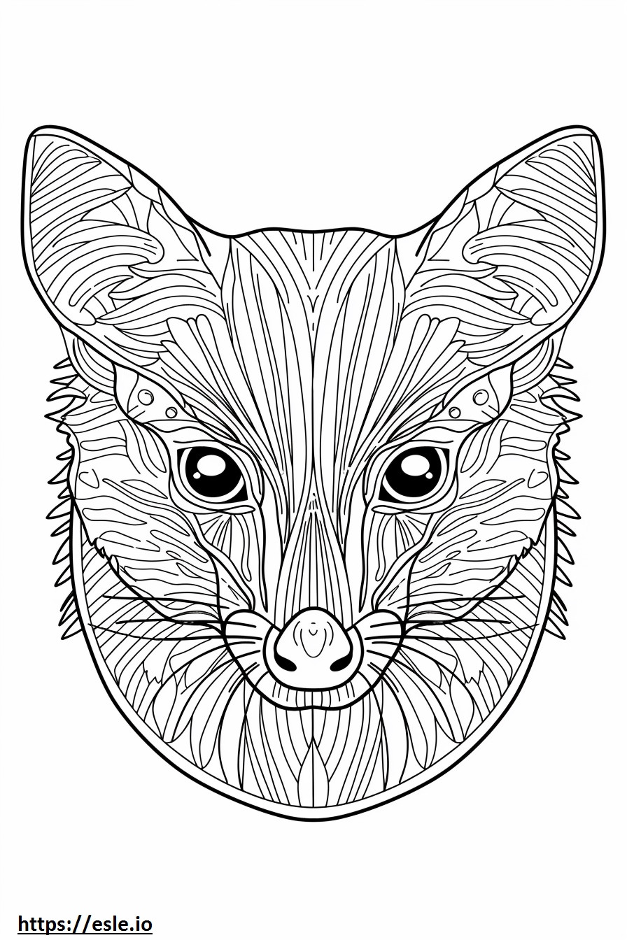 Afrikai Pálma Civet arc szinező