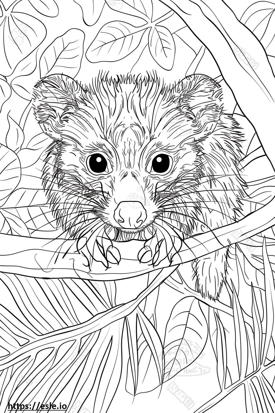 African Palm Civet full body coloring page
