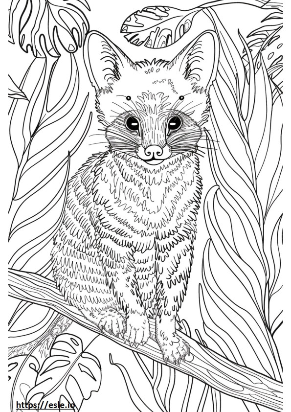 African Palm Civet full body coloring page