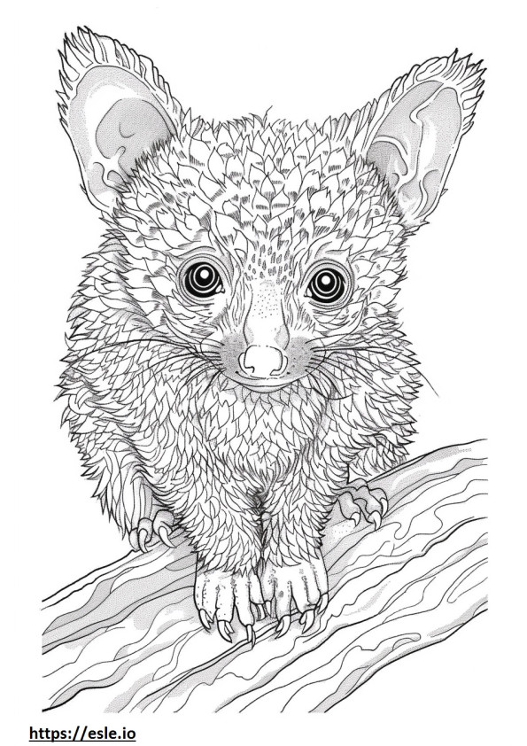 African Palm Civet baby coloring page