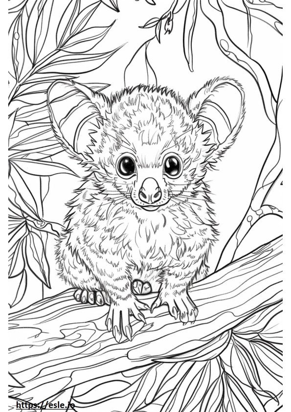 African Palm Civet baby coloring page