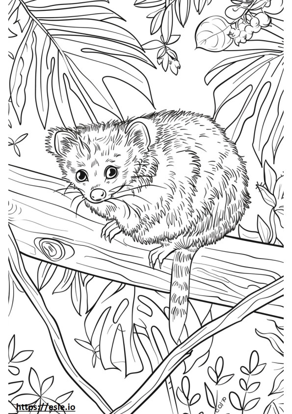 African Palm Civet cartoon coloring page