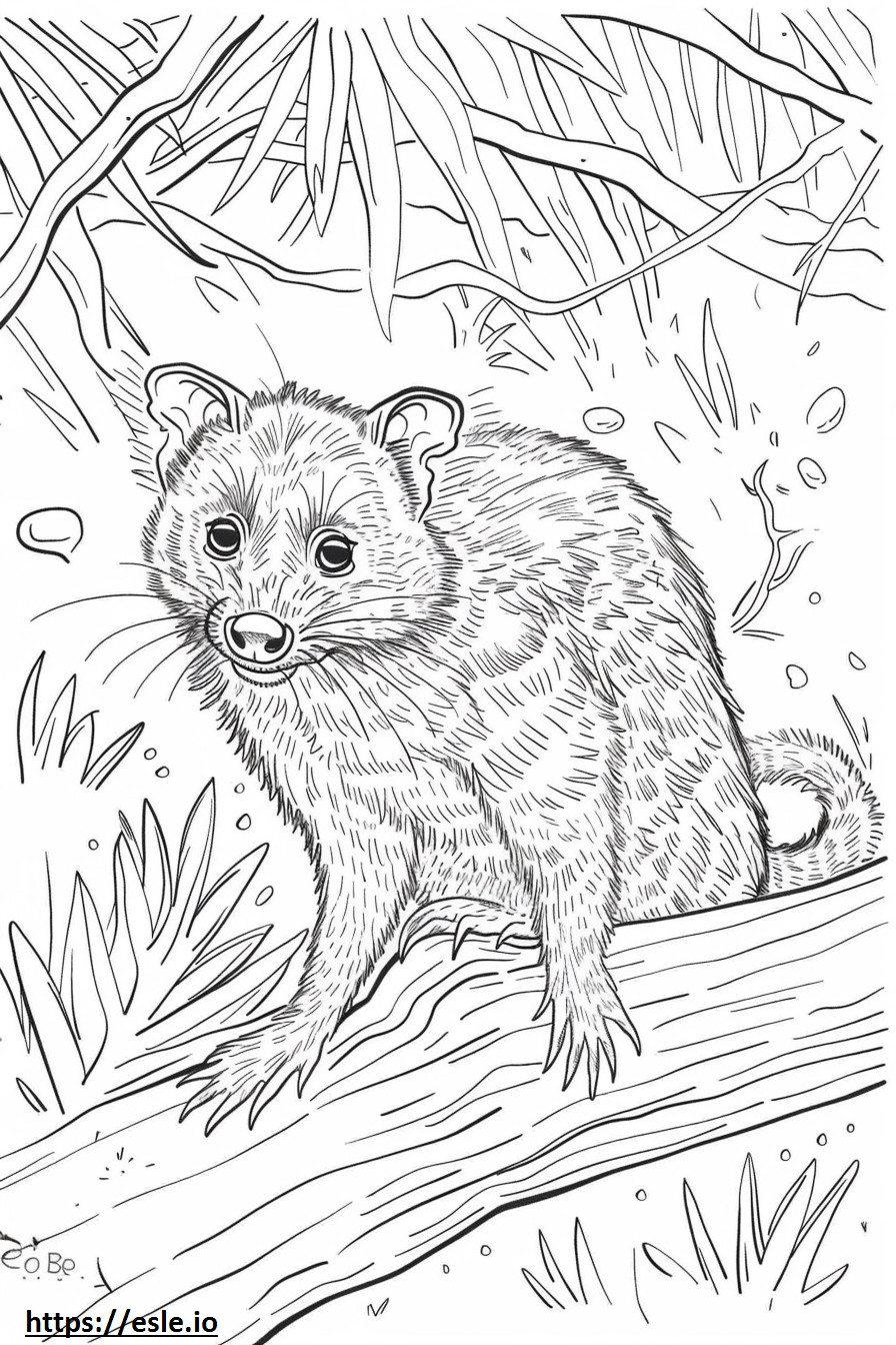 African Palm Civet cute coloring page