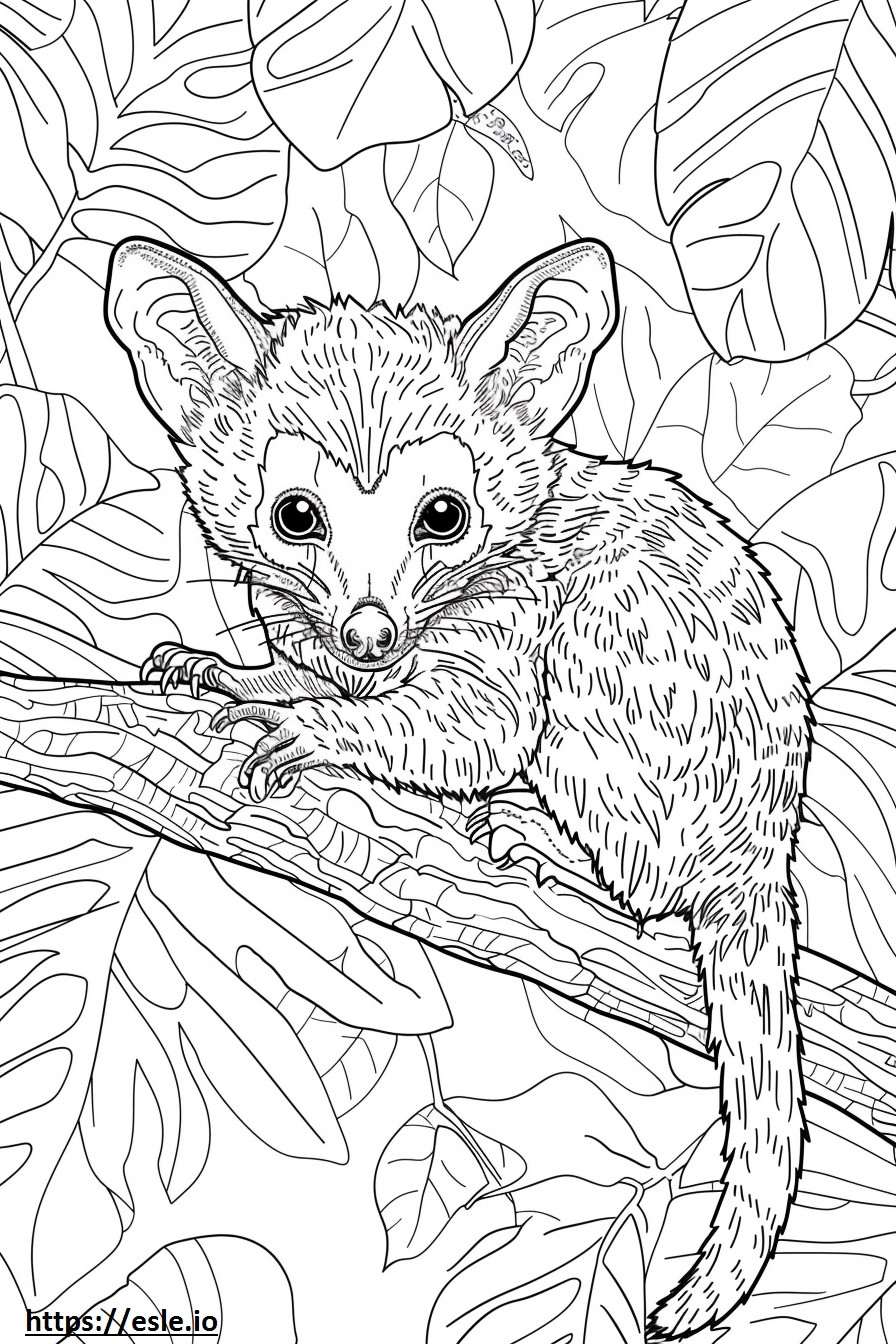 African Palm Civet cute coloring page