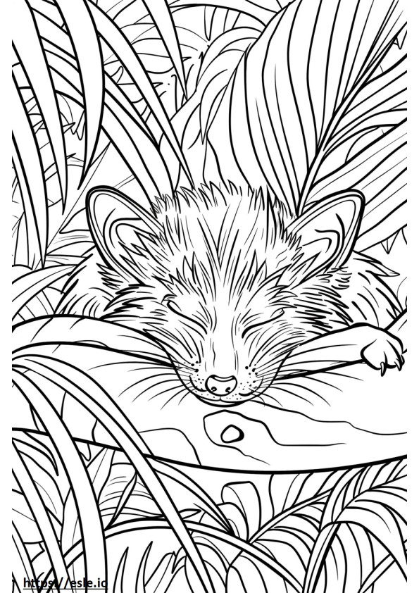 Afrikanische Palmzibetkatze schläft ausmalbild