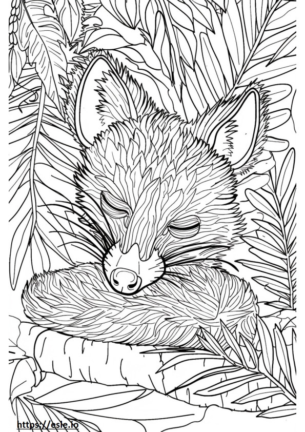 African Palm Civet Sleeping coloring page
