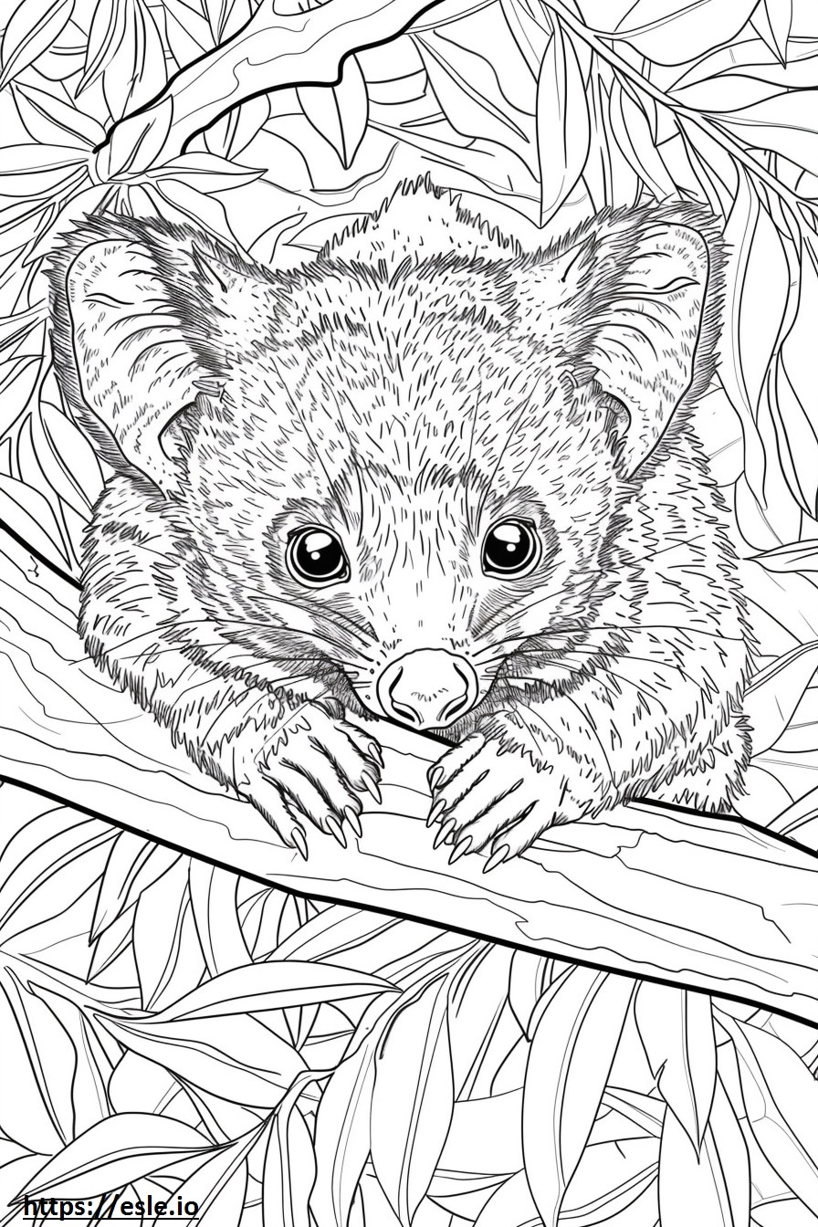 African Palm Civet Kawaii coloring page