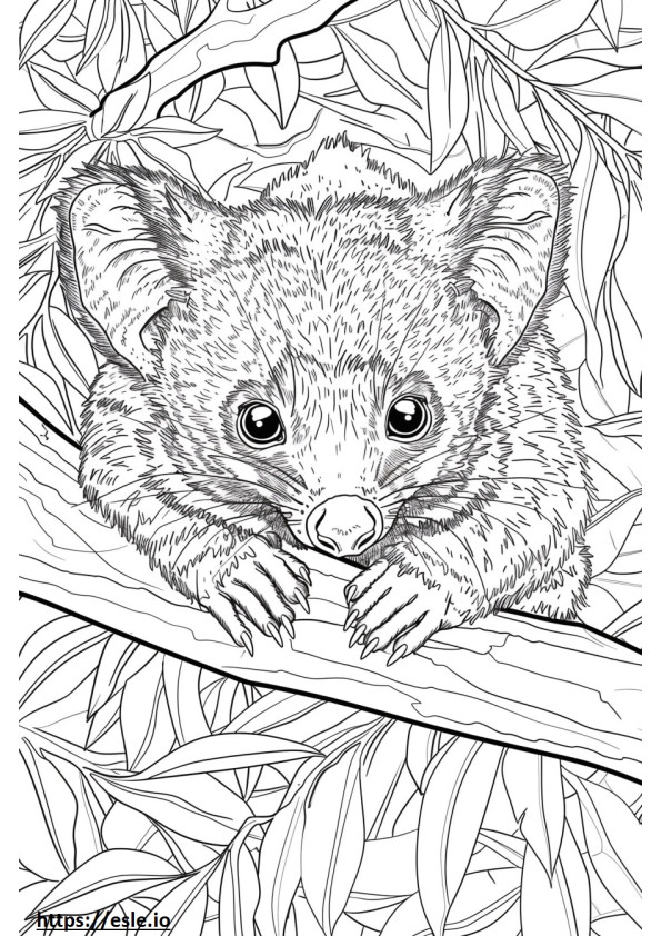 African Palm Civet Kawaii coloring page