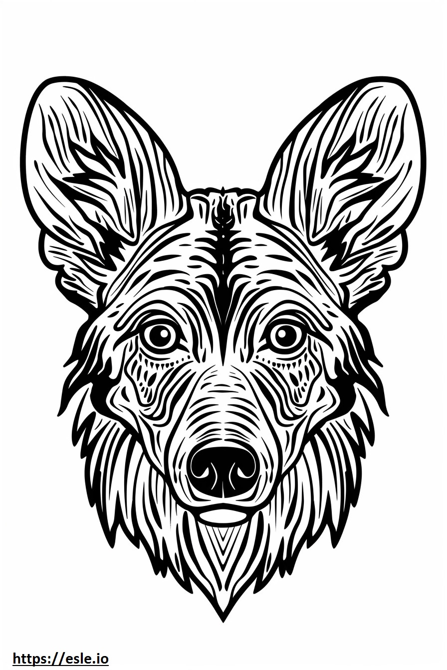 African Wild Dog face coloring page