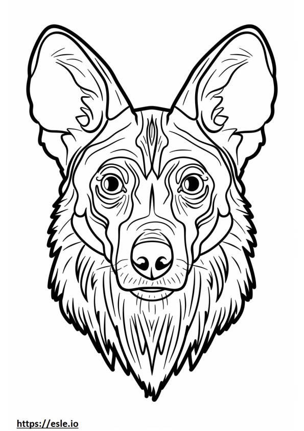 African Wild Dog face coloring page