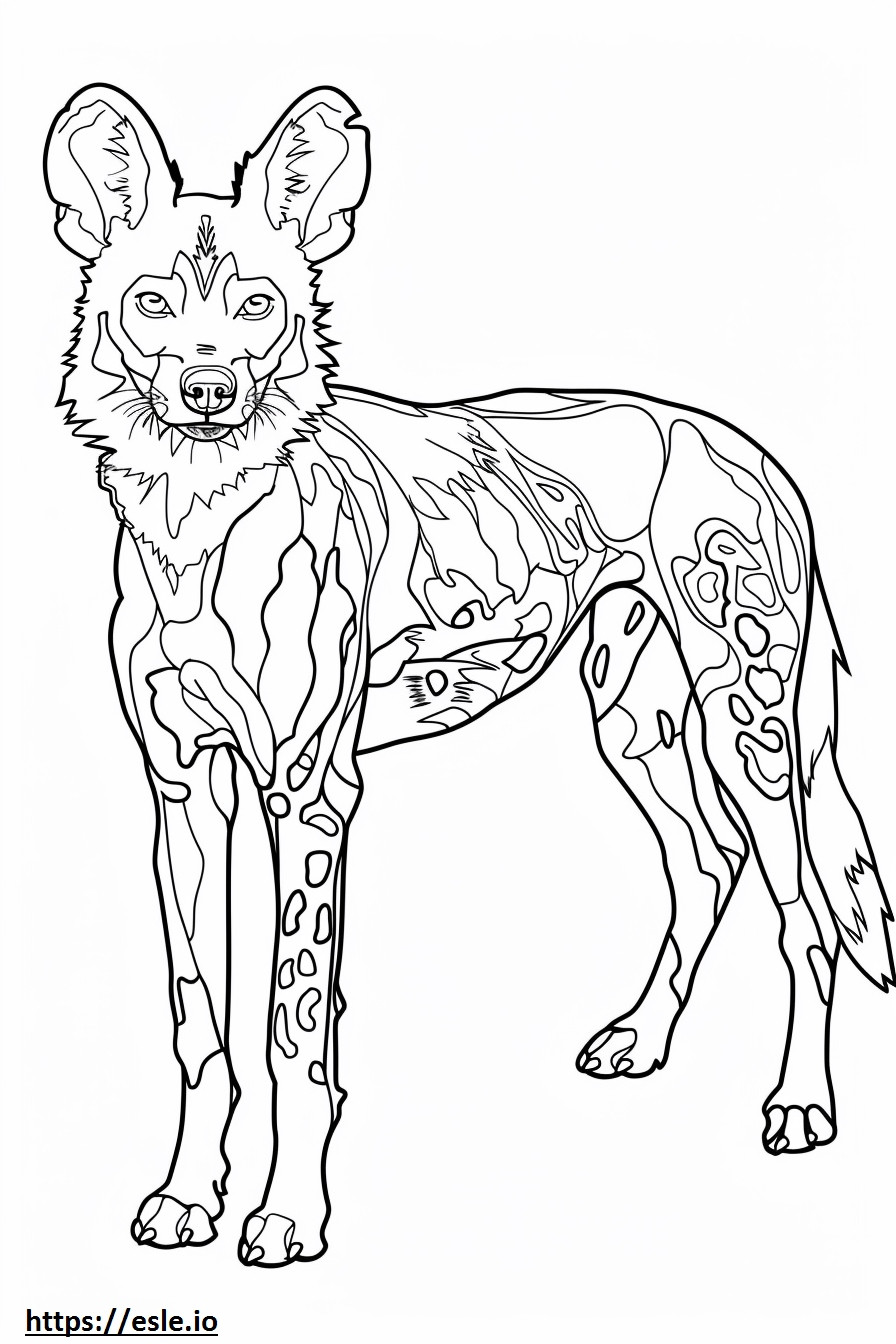 Perro salvaje africano de cuerpo completo para colorear e imprimir