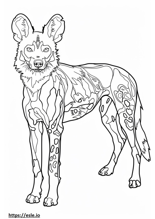 Afrikanischer Wildhund, Ganzkörper ausmalbild