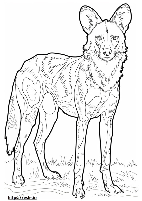 Corpo inteiro do cão selvagem africano para colorir
