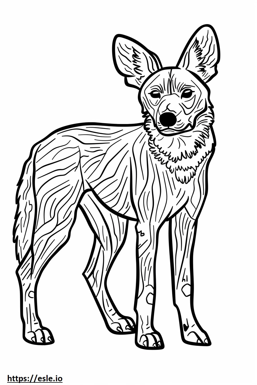 Desene animat câine sălbatic african de colorat