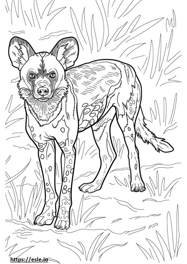 Afrikkalainen villi koira sarjakuva värityskuva