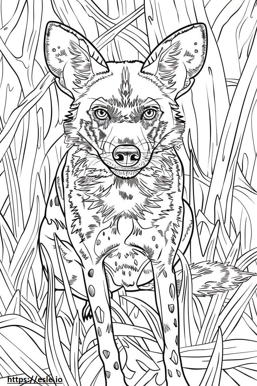 African Wild Dog cute coloring page