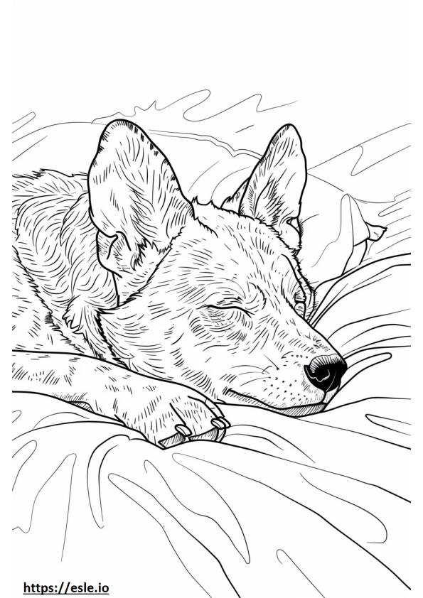 Afrikkalainen villi koira nukkuu värityskuva