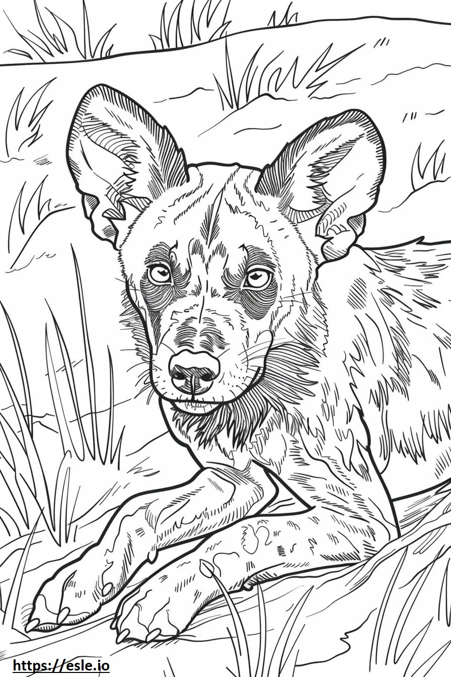 African Wild Dog Playing coloring page