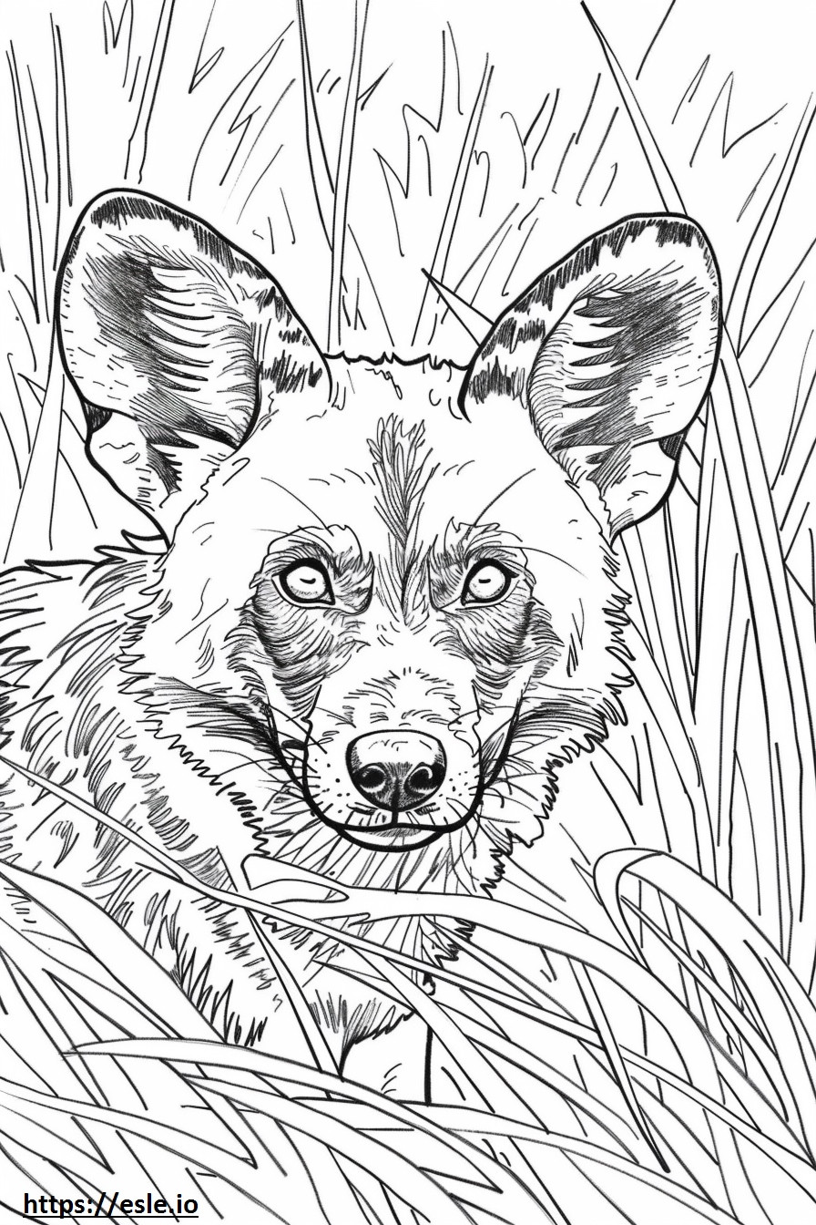 African Wild Dog Playing coloring page