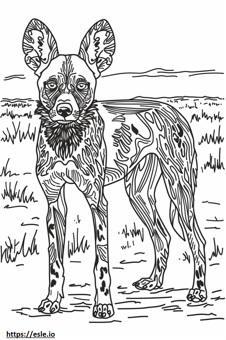 African Wild Dog Friendly coloring page