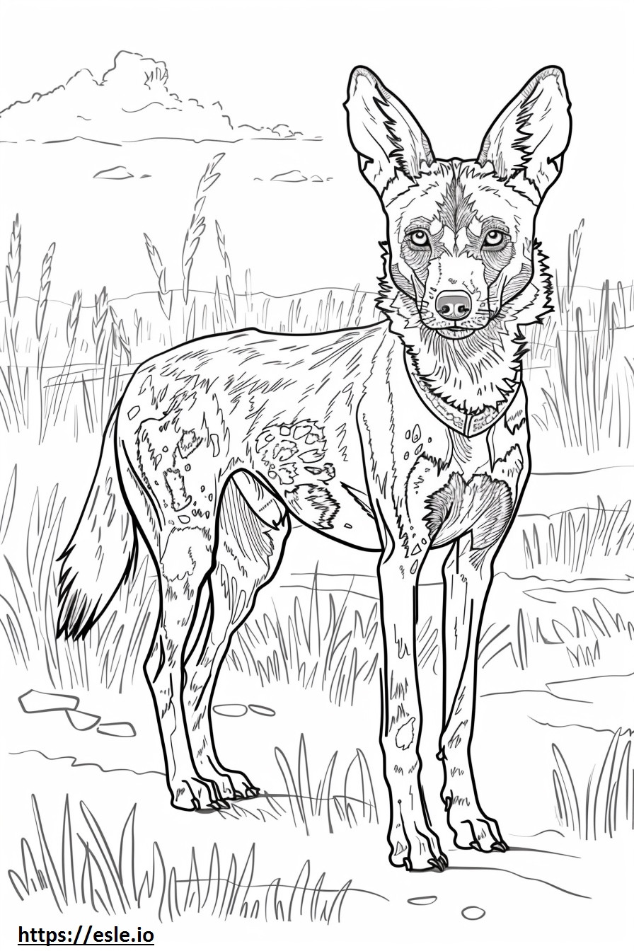 African Wild Dog Friendly coloring page