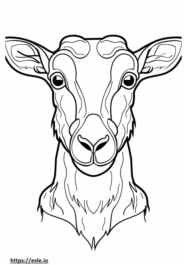 Agouti face coloring page