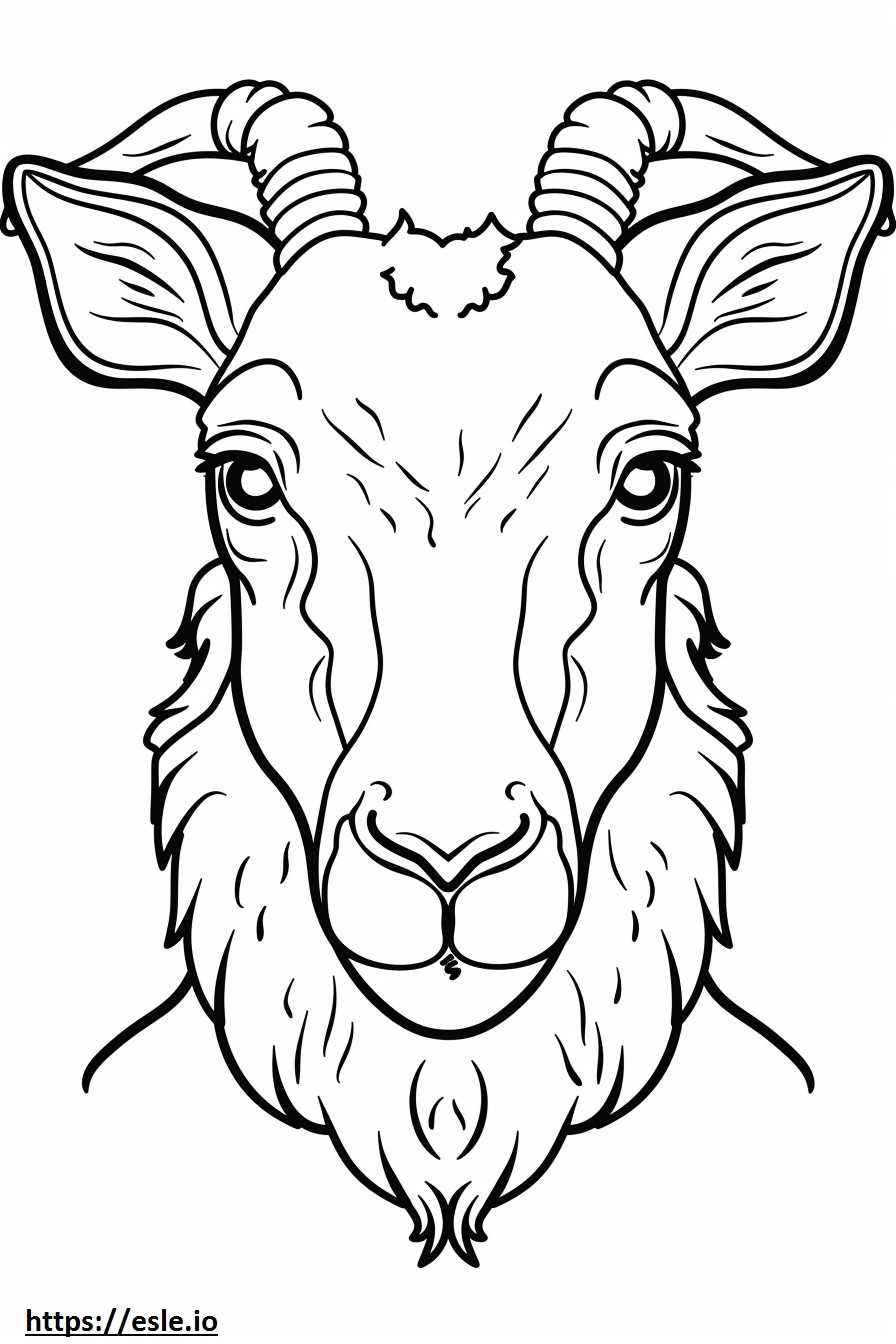 Agouti face coloring page