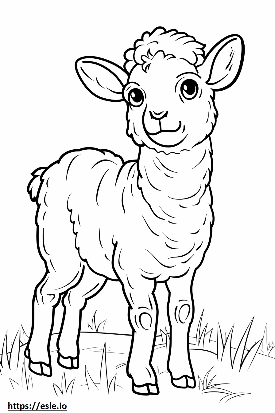 Agouti full body coloring page