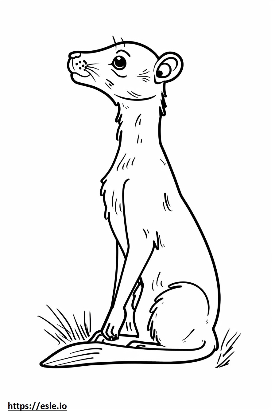 Agouti cute coloring page