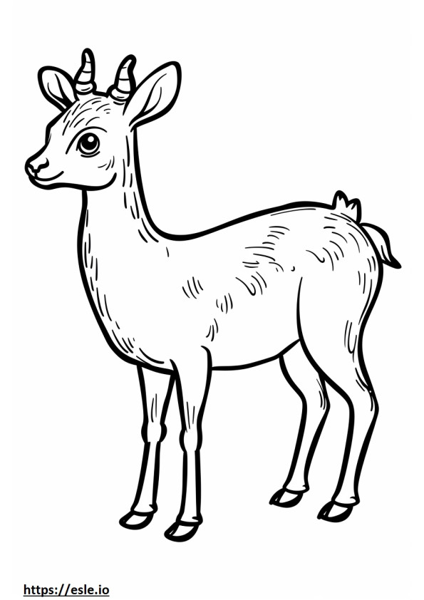 Agouti cute coloring page