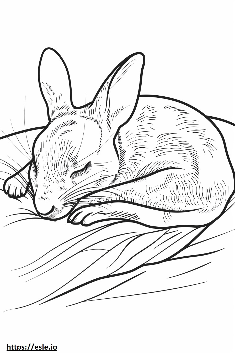 Agouti Sleeping coloring page