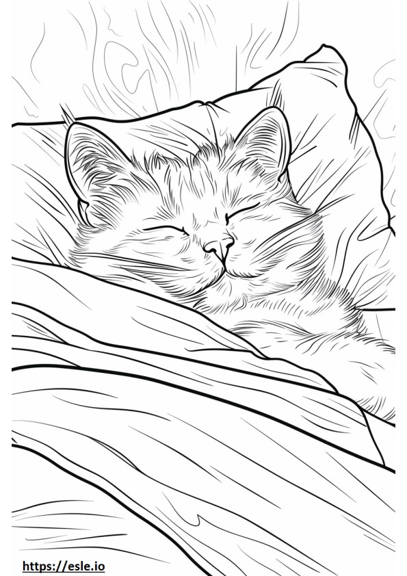 Agouti Sleeping coloring page