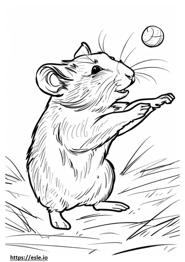 Agouti Playing coloring page