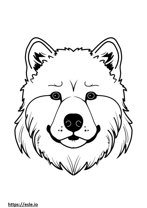 Ainu face coloring page