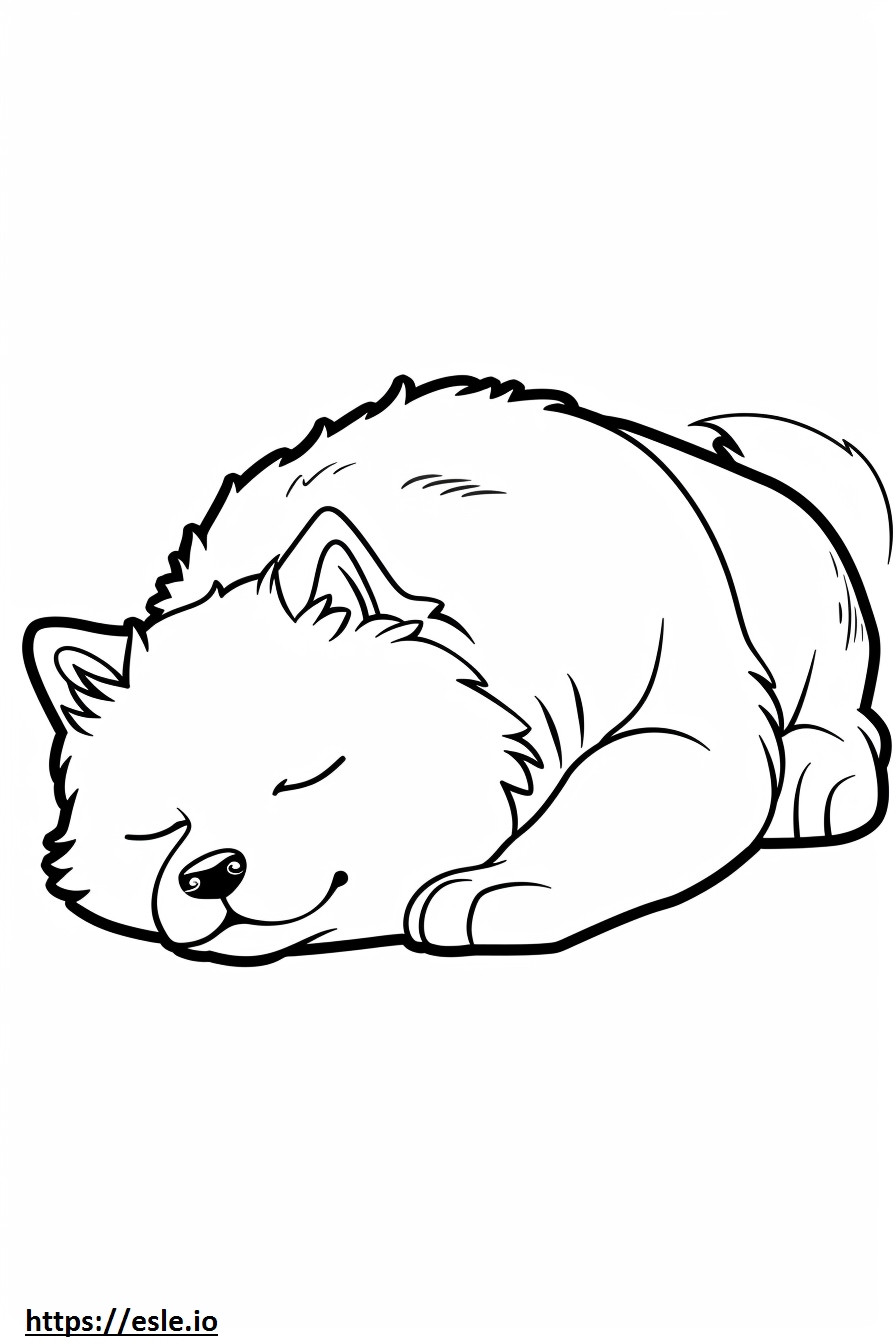 眠るアイヌ ぬりえ - 塗り絵