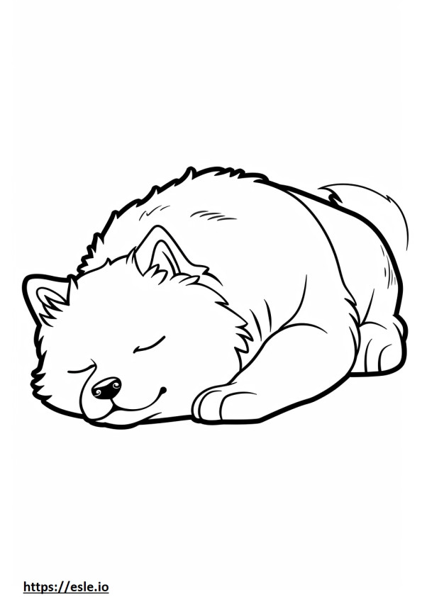 Ainu alszik szinező